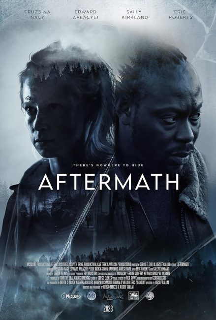 مشاهدة فيلم Aftermath 2024 مترجم اون لاين حصري